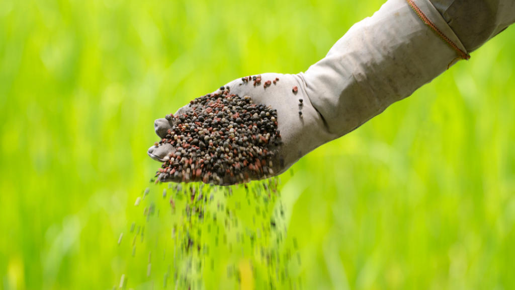 Fertilizer