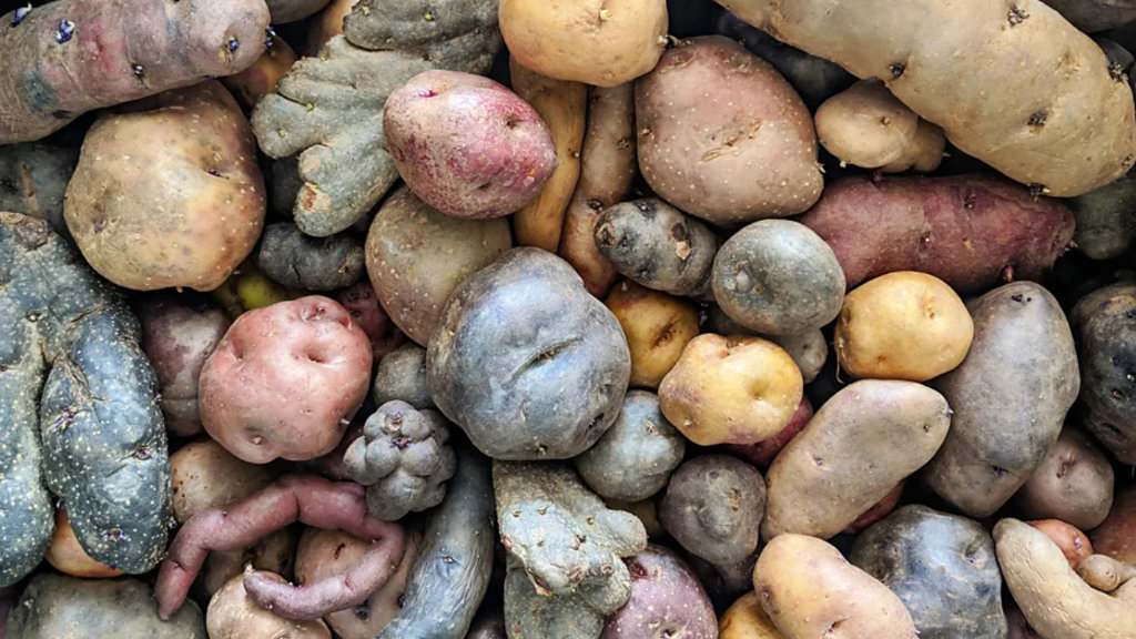 Potatoes