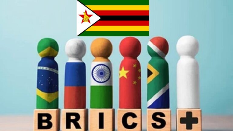 BRICS Plus Zim