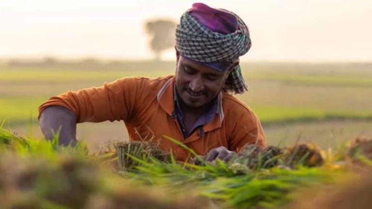 Russia and India Look To Enhance Mutual Agricultural Trade